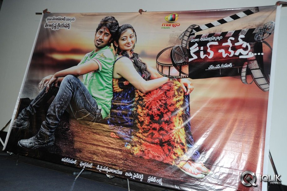 Cut-Chesthe-Movie-Audio-Launch